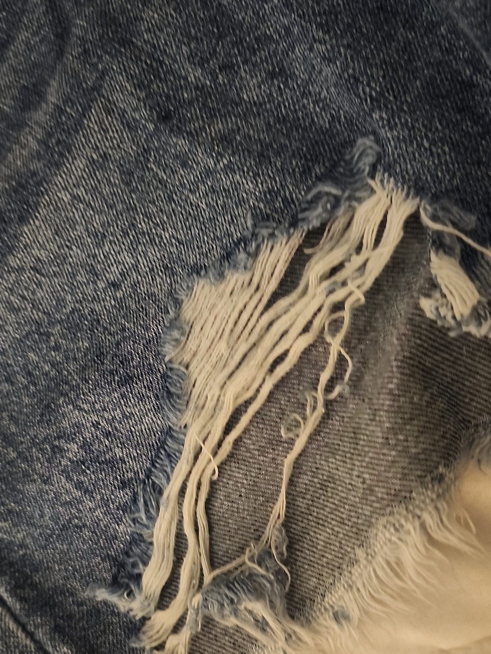 Denim Shorts - Picture 7 of 8